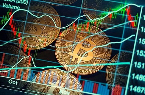 Deciphering the Numbers: Forex, Crypto, and Stocks
